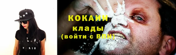 МДПВ Гусев