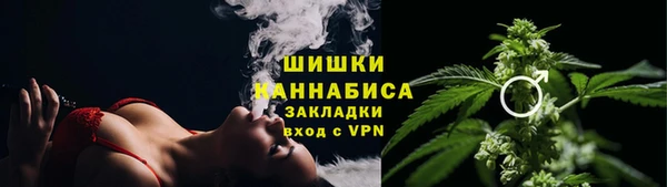 МДПВ Гусев
