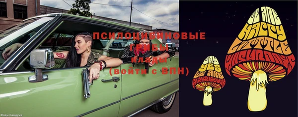 МДПВ Гусев