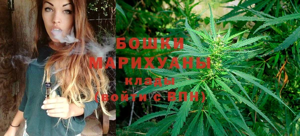 МДПВ Гусев